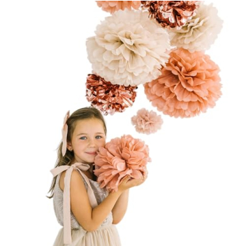20 PCS Tissue Pom Poms - Stylish Party Decor Kit