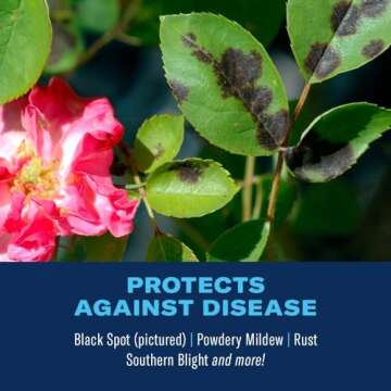 BioAdvanced All-In-One Rose and Flower Care, Granules, 4 lb