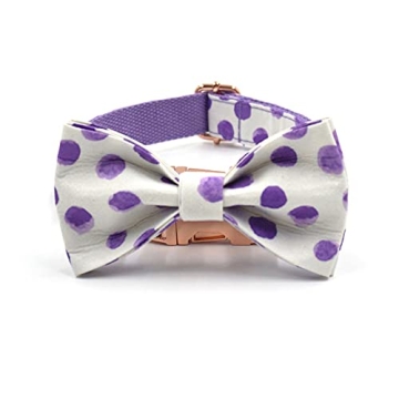 PETDURO Personalized Dog Collar for Medium Large Dogs