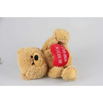 Hollabears 10" Aye Bitch I'm Tryna Holla Teddy Bear Funny Plush Gift