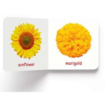 My First Book of Flowers