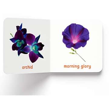 My First Book of Flowers