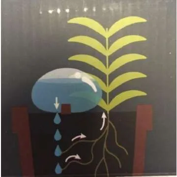 Kikkerland Water from a Stone Hand Blown Glass Automatic Self-Watering Plant Globes, Set of 2