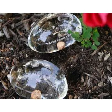 Kikkerland Water from a Stone Hand Blown Glass Automatic Self-Watering Plant Globes, Set of 2
