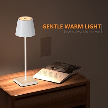 Portable LED Cordless Table Lamp, USB Rechargeable