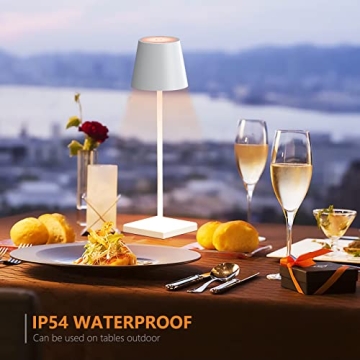 Portable LED Cordless Table Lamp, USB Rechargeable