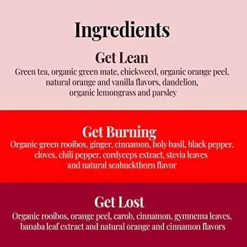 The Republic of Tea Get Lost Stackable Tea Tin - 42 Bags