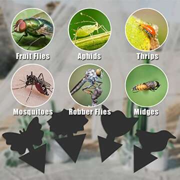 36 Pack Fungus Gnat Traps for House Plants, Black Sticky Traps for Indoor Outdoor Use to Get Rid of ...