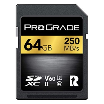 Prograde Digital SD UHS-II 64GB Card V60 –Up to 130MB/s Write Speed and 250 MB/s Read Speed | for ...