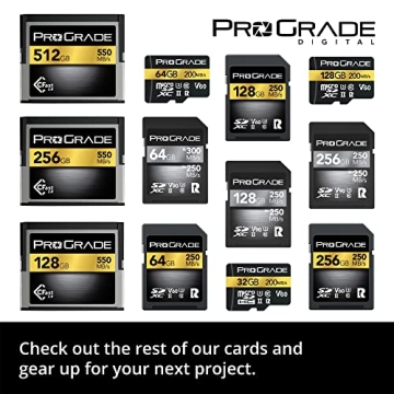 Prograde Digital SD UHS-II 64GB Card for Professionals