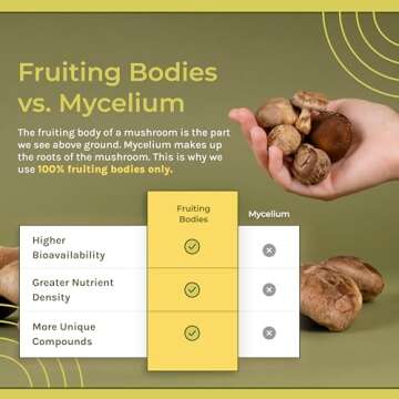 Naturealm Chaga Tincture for Immune Support & Wellness