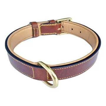 Soft Touch Collars Padded Leather Dog Collar, Brown Medium, Genuine Real Leather, Great for Male or Female Dogs, 20" Inches Long x 1" Inch Wide, Fits Neck Size 14.5" to 17.5"