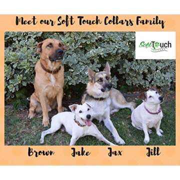 Soft Touch Collars Padded Leather Dog Collar, Brown Medium, Genuine Real Leather, Great for Male or Female Dogs, 20" Inches Long x 1" Inch Wide, Fits Neck Size 14.5" to 17.5"