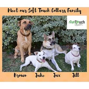 Soft Touch Collars Padded Leather Dog Collar, Brown Medium, Genuine Real Leather, Great for Male or Female Dogs, 20" Inches Long x 1" Inch Wide, Fits Neck Size 14.5" to 17.5"