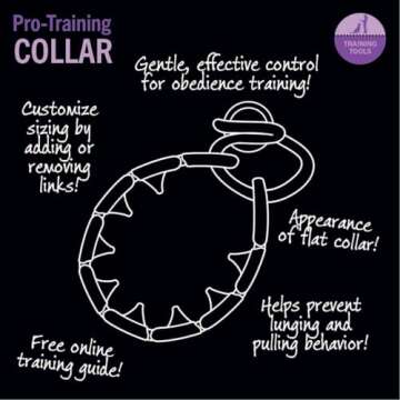 Starmark Pro-Training Dog Collar for Large Dogs