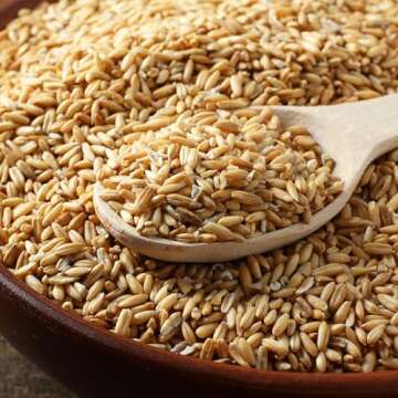 Yupik Organic Whole Oat Groats - Nutty, Fiber-Rich Grains