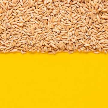 Yupik Organic Whole Oat Groats - Nutty, Fiber-Rich Grains