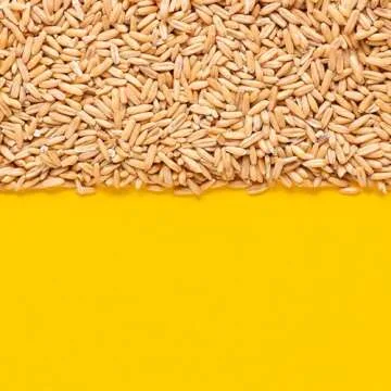 Yupik Organic Whole Oat Groats - Nutty, Fiber-Rich Grains