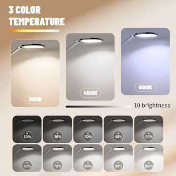 LitONES Led Desk Lamps for Home Office, 1200LM Clamp On Desk Light for Video Calls, 3000k-6500k Computer Zoom Light for Video Conference, Adjustable Swing Arm Architect Office Table Lamp