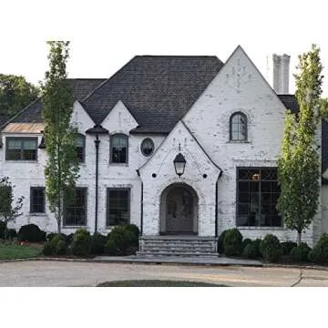 Romabio Classico Limewash Interior/Exterior Paint, Italian slaked-lime, One Coat, Avorio White, 1L/1QT