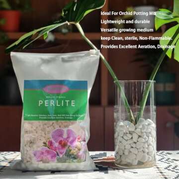 Natural 1-2CM Hard Chunky Perlite 2QT for Plants Horticultural Coarse Organic Pearlite Bulk Potting ...