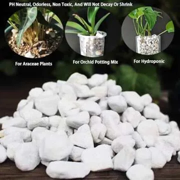 Natural 1-2CM Chunky Perlite for Plants - 5QT Bulk
