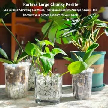 Natural 1-2CM Chunky Perlite for Plants - 5QT Bulk