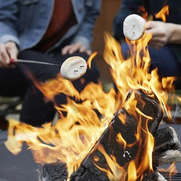 Duraflame 12-Pack Fire Logs for Cozy Gatherings