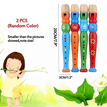 Sealive Wooden Recorders & Piccolo Flute for Toddlers