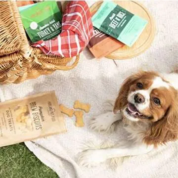 Pumpkin Brew Biscuits for Dogs – Natural & Healthy Snacks