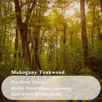 Bayrumber Hanging Car Freshener - Long-Lasting Essential Oil Diffusers, Eco-Friendly Design