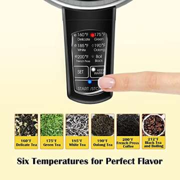 Stainless Steel Electric Kettle with Temperature Control