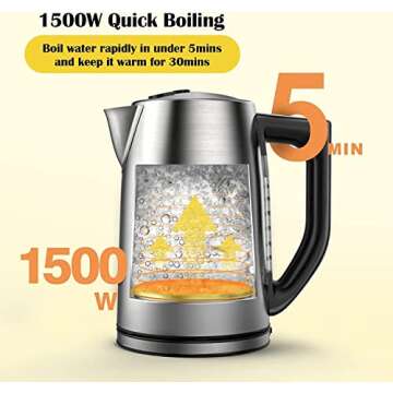 Stainless Steel Electric Kettle with Temperature Control