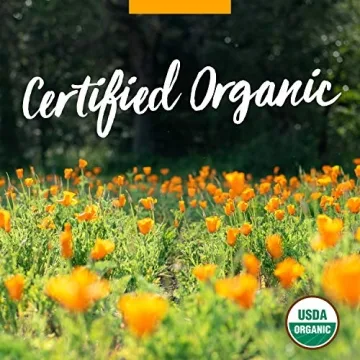 Herb Pharm Organic Turmeric Extract for Health Support