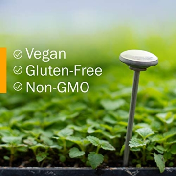 Herb Pharm Organic Turmeric Extract for Health Support