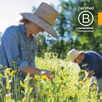 Herb Pharm Organic Turmeric Extract for Health Support