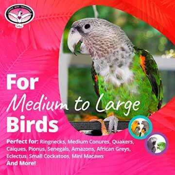 Super Bird Creations - SB301 Chewable Paper Party Bird Toy with Colorful Lollipop Sticks - Ringnecks Medium Conures Parrot - Chew Enthusiasts - Enriching Bird Toys for Medium to Large Birds - 1-Pack