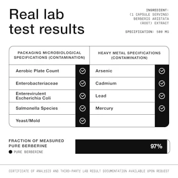 Toniiq Berberine 500mg - Ultra High Potency Supplement