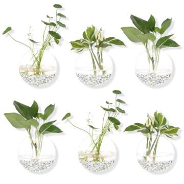 Pack of 6 Glass Planters Wall Hanging Planters Round Glass Plant Pots Hanging Air Plant Pots Flower Vase Air Plant Terrariums Wall Hanging Plant Container
