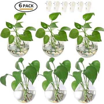 Pack of 6 Glass Planters Wall Hanging Planters Round Glass Plant Pots Hanging Air Plant Pots Flower Vase Air Plant Terrariums Wall Hanging Plant Container