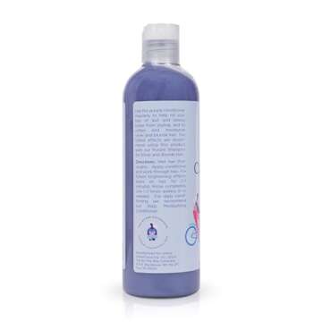 The BTW Co. Purple Conditioner for Silver, Gray & Blonde Hair Brighten & Remove Yellow or Brassy Ton...