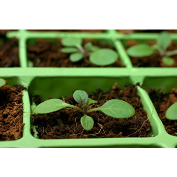 Coco Coir Brick Ideal for Organic Gardening and More