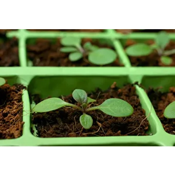 Coco Coir Brick Ideal for Organic Gardening and More