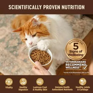 Wellness CORE Grain-Free Kitten Formula Dry Cat Food, 5 Pound Bag
