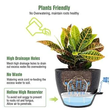 Stylish UOUZ Self-Watering Pots for Gardening Success