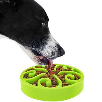 Slow Feeder Dog Bowl Anti-Choking Help Prevent Bloat Non Toxic BPA Free Feeding Dish, Green