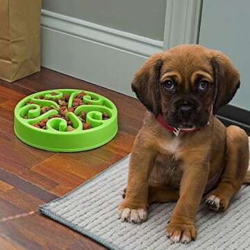 Slow Feeder Dog Bowl Anti-Choking Help Prevent Bloat Non Toxic BPA Free Feeding Dish, Green
