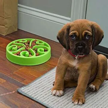 Slow Feeder Dog Bowl Anti-Choking Help Prevent Bloat Non Toxic BPA Free Feeding Dish, Green