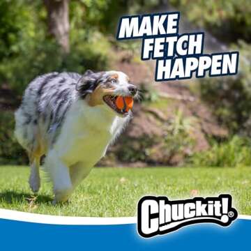 Chuckit! Gen 3 Fetch Medley Dog Balls - Interactive Dog Toys, High-Bounce Fetch Ball, Floating Ultra...