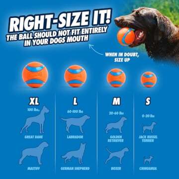 Chuckit! Gen 3 Fetch Medley Dog Balls - Interactive Dog Toys, High-Bounce Fetch Ball, Floating Ultra and Rugged Balls, Durable - Size Medium, 2.5-inch Diameter, Set of 3